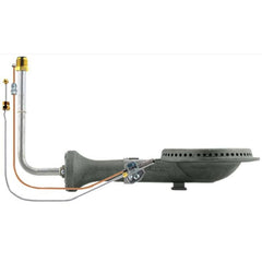 RHEEM Rheem AS42133 Burner/Pilot Assy 100 Gallon