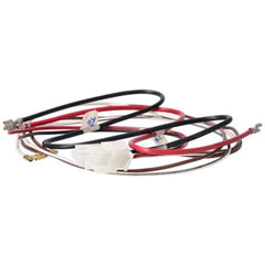 245921743.jpg