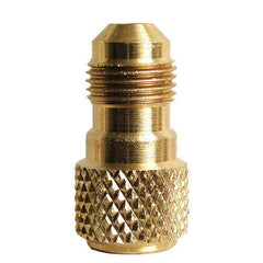 245922481.jpg
