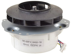 245922895.webp