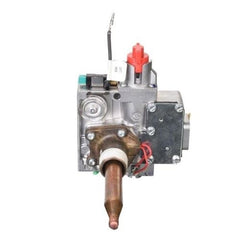 RHEEM Rheem SP44950 Burner Assembly Kit