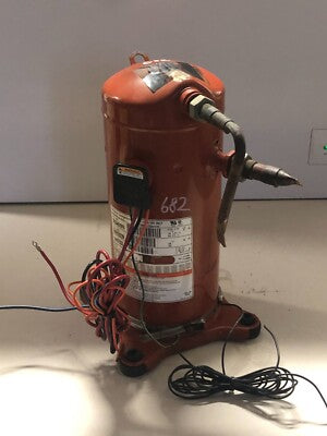 245928342.jpg