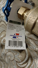 AMERICAN VALVE American Valve G300 Brass Gate Valve