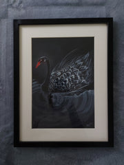 BLACK SWAN Black Swan 1190 Plumbing Putty Watercolor Painting Bathroom Radiator