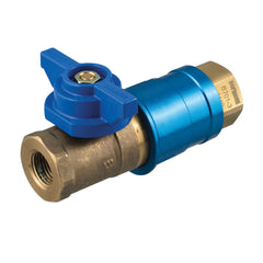 DORMONT DORMONT CF-75R Safety Fitting Quick Disconnect Valve