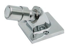 LEONARD VALVE LEONARD VALVE H-06-C10-2S Institutional Shower Head