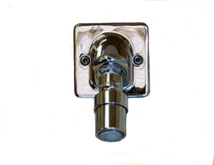 LEONARD VALVE LEONARD VALVE H-06-C10-2S Institutional Shower Head
