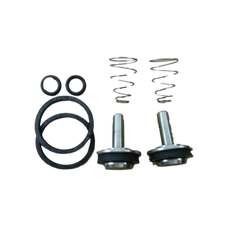 LEONARD VALVE Leonard Valve KIT-4/M20 Checkstop Kit