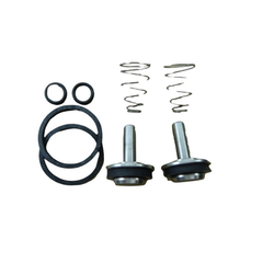 LEONARD VALVE Leonard Valve KIT-4/M20 Checkstop Kit