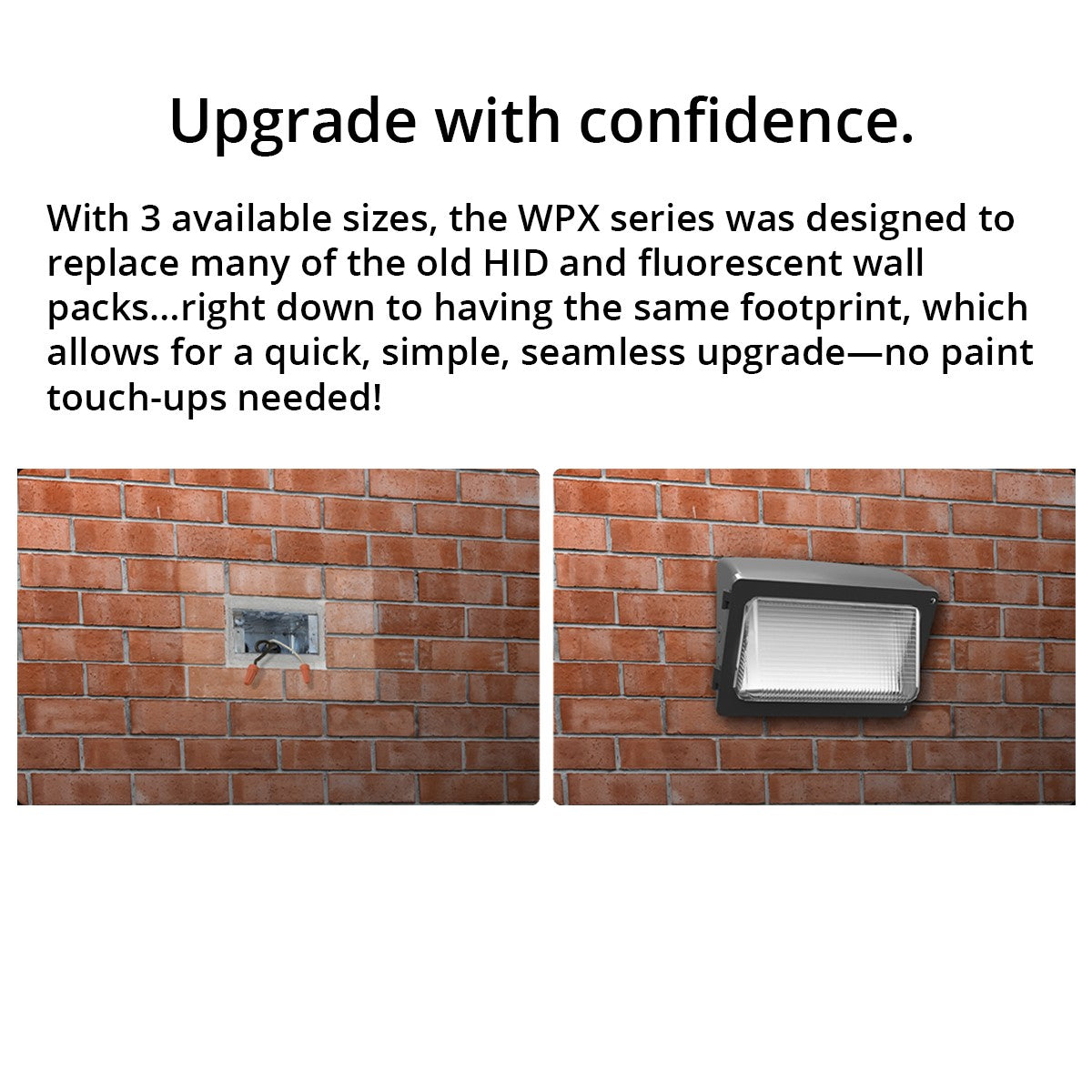 RAB LIGHTING RAB LIGHTING WPX2 Field-Adjustable LED Wall Pack