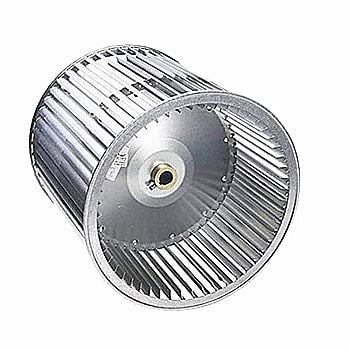 247184369.jpg