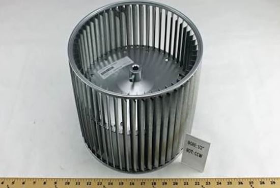 247184471.jpg