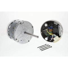 247199475.webp