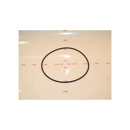 247215002.jpg