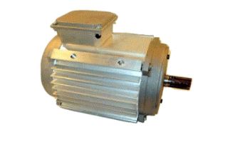 YORK YORK 024-37448-241 Motor