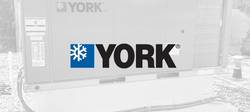 YORK YORK 024-37448-241 Motor
