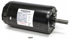 YORK YORK 024-36873-204 Fan Motor TEAO 2HP
