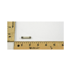 YORK YORK 025-14019-000 5 Amp Fuse