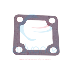 247221825.webp