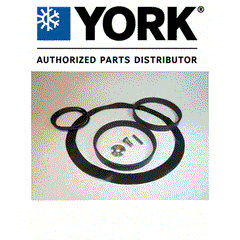 YORK YORK 026-32389-000 Pump Service Kit for BUF Systems
