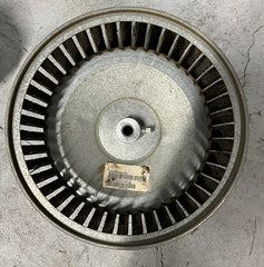 247233238.jpg