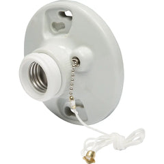 LEGRAND Pass & Seymour 284 Medium Base Lampholder, Porcelain, 4 Terminals, 250 VAC