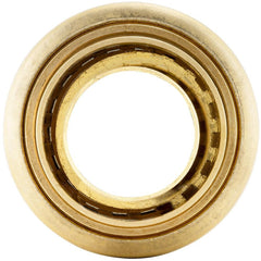 250099125.jpg