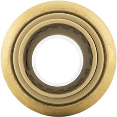 250099145.jpg