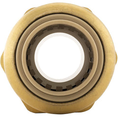 250099187.jpg