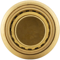250099323.jpg