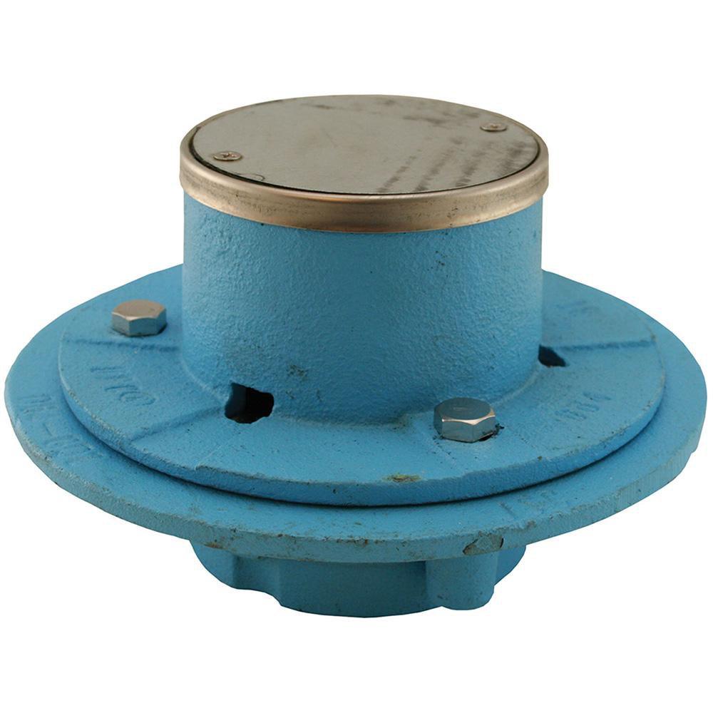 250101884.jpg