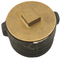 250105716.jpg