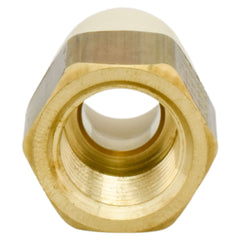 CHARLOTTE PIPE Charlotte Pipe CTS02105L0600 1/2 - CPVC Adapter (Female) - Slip x FIP