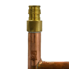 250114957.jpg
