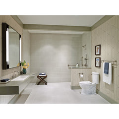 DELTA Delta 41519-SS BathSafety: 24 Contemporary Towel Bar with Assist Bar