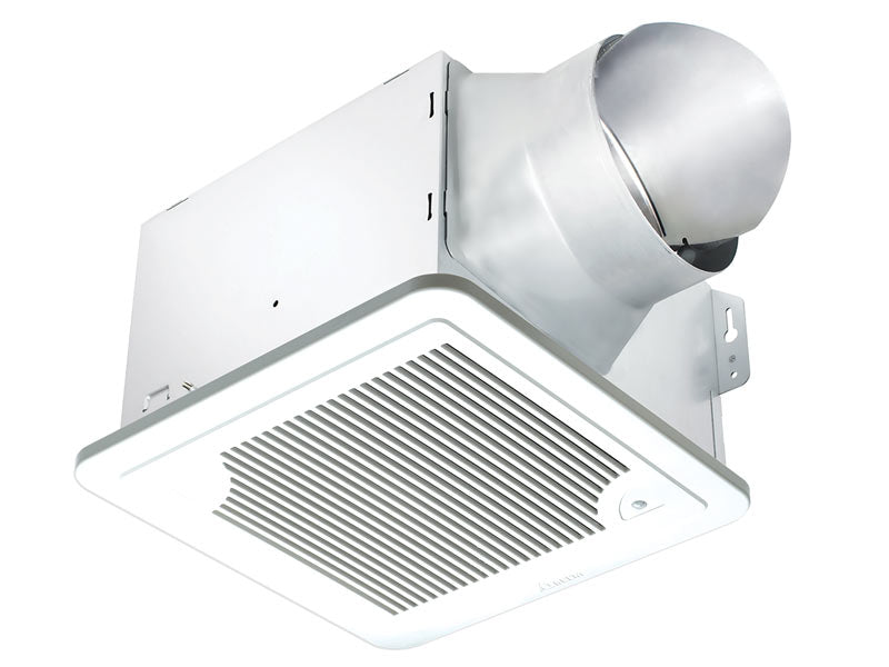 251607018.jpg