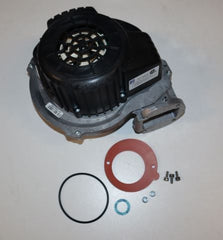 251612750.jpg
