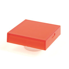 251613059.jpg