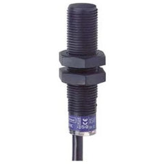 251619481.jpg