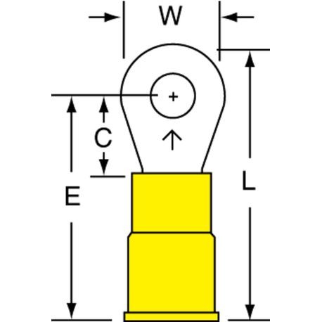 251625073.jpg