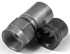 251625148.jpg