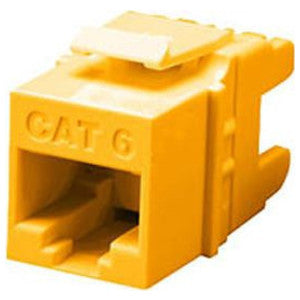 251625753.jpg