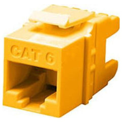 251625753.jpg
