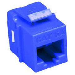 251625767.jpg