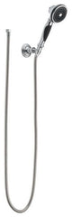 DELTA FAUCET Delta Faucet RP36002 Hand Shower 2 GPM (69 inches Hose) Replacement RP36002