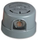 251628964.jpg
