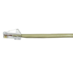 251630545.jpg
