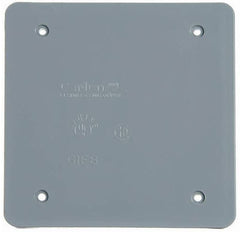 251640758.jpg