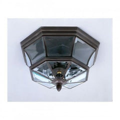 QUOIZEL Quoizel Inc NY1794Z Outdoor Lantern, 40 W, LED Lamp