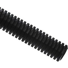 251644661.jpg